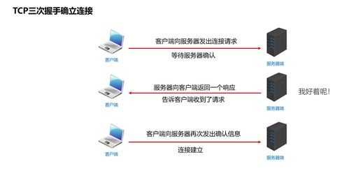 深入理解網絡通信三要素 IP、端口、協議及其在信息安全軟件開發中的關鍵作用